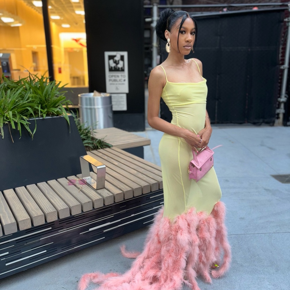 Dress . It is sheer